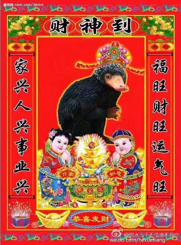 嗅嗅圈粉,顺便带火了一种叫针鼹的小动物,长得几乎和嗅嗅一样,是麻瓜