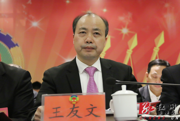 政协茶陵县第九届委员会第一次会议开幕