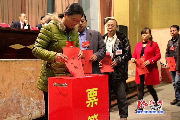 绥宁县委副书记,县长罗玉梅投票绥宁县委书记唐渊投票