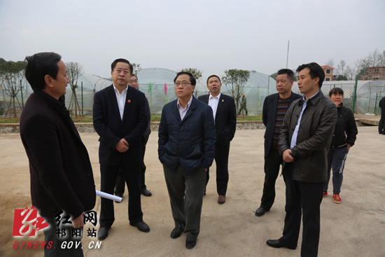 永州市委书记陈文浩来祁阳调研美丽乡村建设