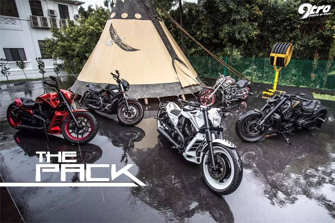 没有纹身都不好意思 哈雷戴维森VRod改装