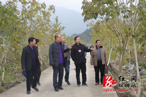 双牌县委书记苏小康深入部分乡镇开展调研