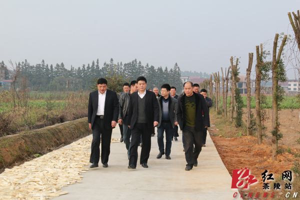 茶陵县做好三个实打实确保如期实现脱贫攻坚目标