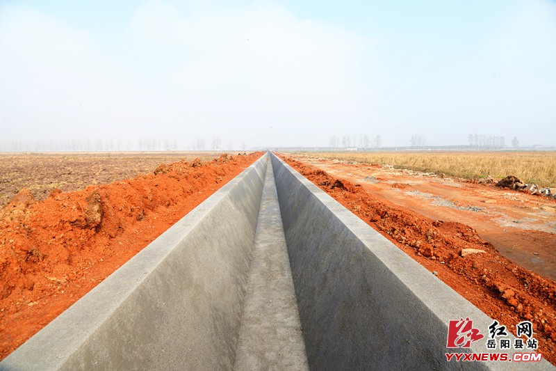 岳阳县顺利推进高标准农田建设项目