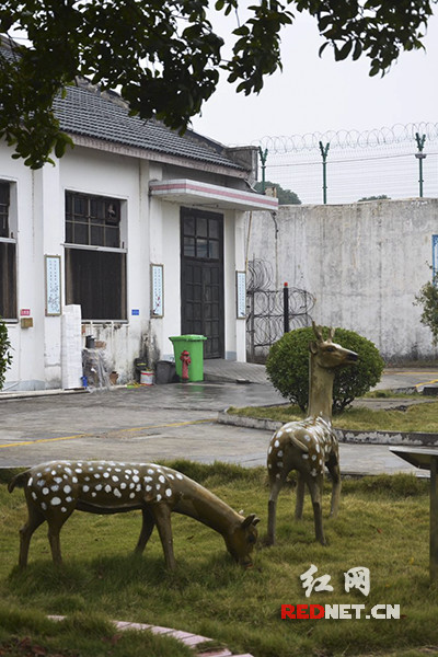 【湖南司法行政"双先"】茶陵监狱五监区:唤醒服刑人员的善良本性