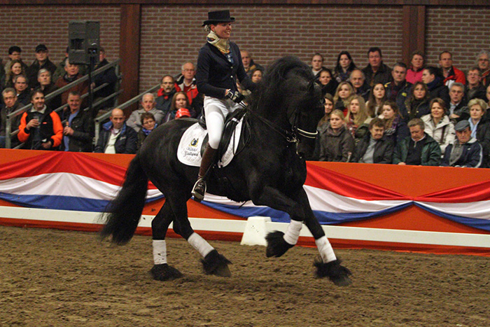 滴滴打球管家牵手荷兰皇家弗里斯兰马协会带你看世界上最帅气的马