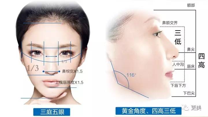 范冰冰每年花钱保养最多的抗衰部位竟然是这里
