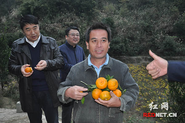 湖南省扶贫办副主任贺丽君(左三)和洪江区工委书记罗国宇(左二)查看