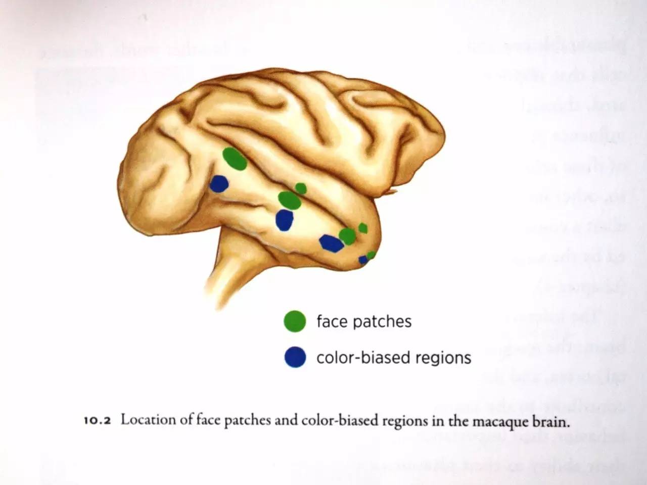 色域抽象画成功的科学奥秘|艺海拾真|罗斯科|作品|色域_新浪新闻