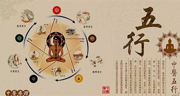 经络、五行图,我们一起学中医!