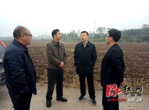 唐何深入宁远县柏家坪调研烤烟生产和美丽乡村建设