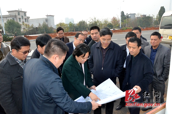 唐军率队现场调研新田一中搬迁工作