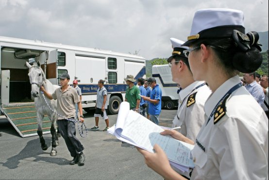 广州海关助力从化打造世界级赛马训练基地(图)