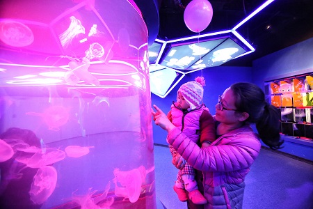 国内最大水母馆亮相天津