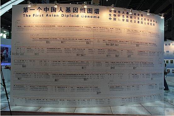 德国,日本和中国科学家共同参与了这项预算30亿美元的人类基因组计划