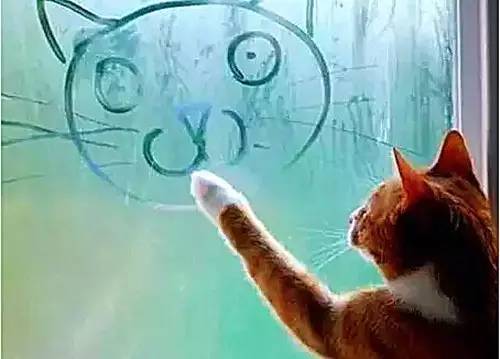 教你一个小妙招，冬天轻松去除汽车玻璃起雾