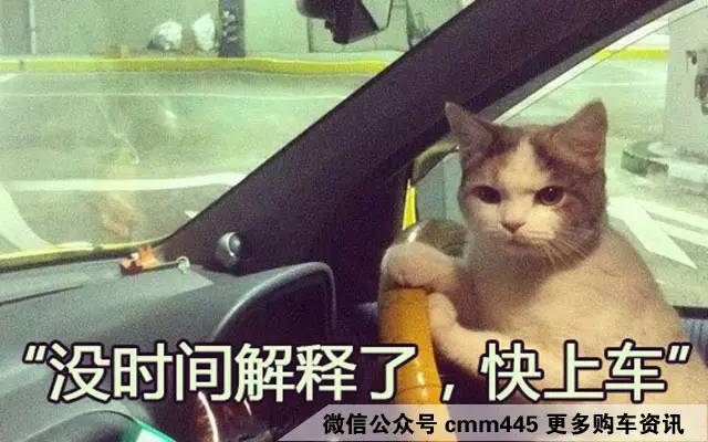 想比别人低1-2个油？来看看这些开车技巧