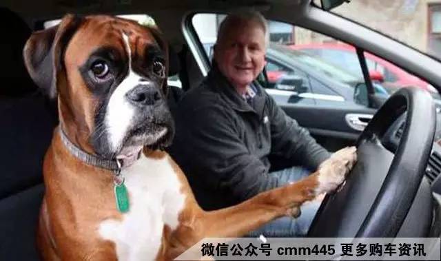 在雾天行驶 应该做到以下才能避免事故发生