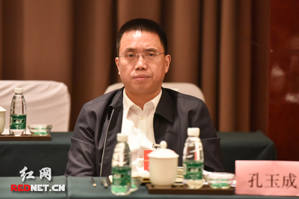 望城区委书记孔玉成:为创建国家中心城市作更大贡献