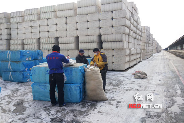 湖南长沙谭棉花图片