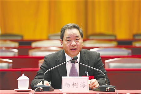 市人大代表,奉节县县委书记杨树海 方历朝 摄商报记者 谭柯实习生 胡