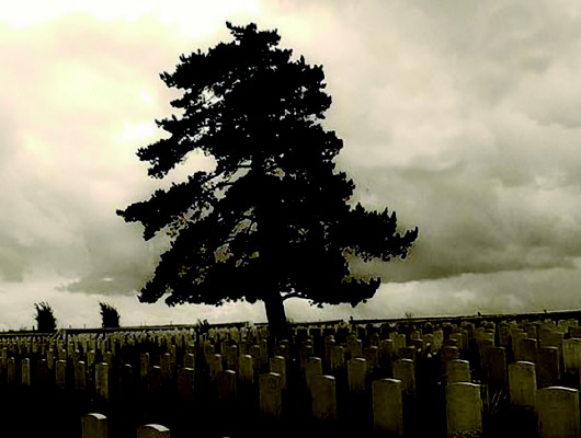 在一战中死亡的华工墓地运载华工的专列本报2016年12月18日刊发了