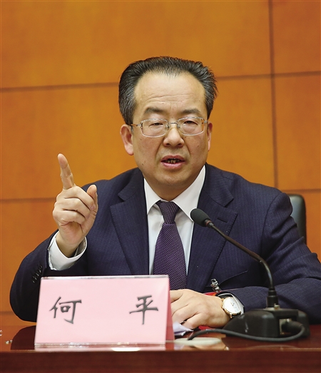 市人大代表,武隆区委书记何平首席记者 钟志兵 摄商报记者 王尊1月13