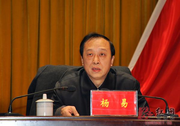 鼎城区委书记杨易作报告.