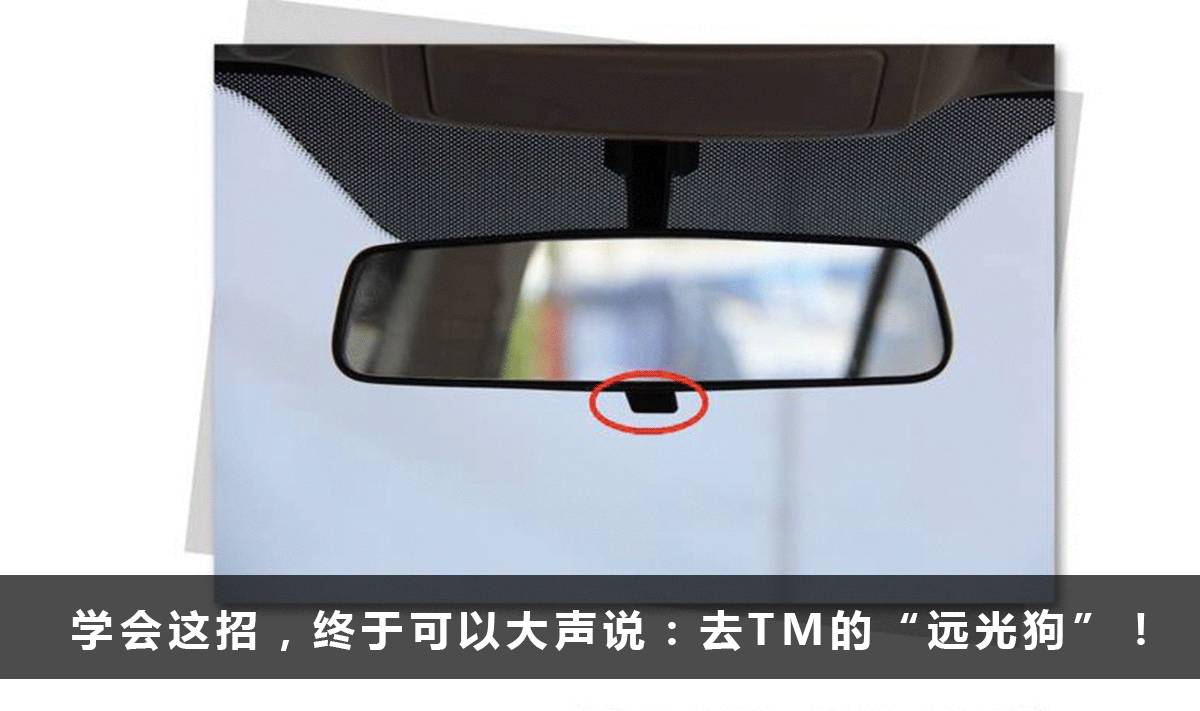 100万都买不到的老司机开车秘籍，不看吃大亏！