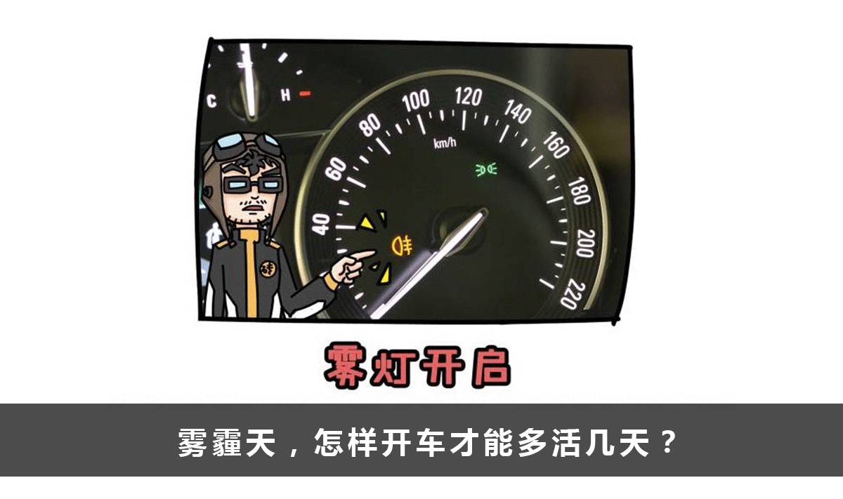 100万都买不到的老司机开车秘籍，不看吃大亏！