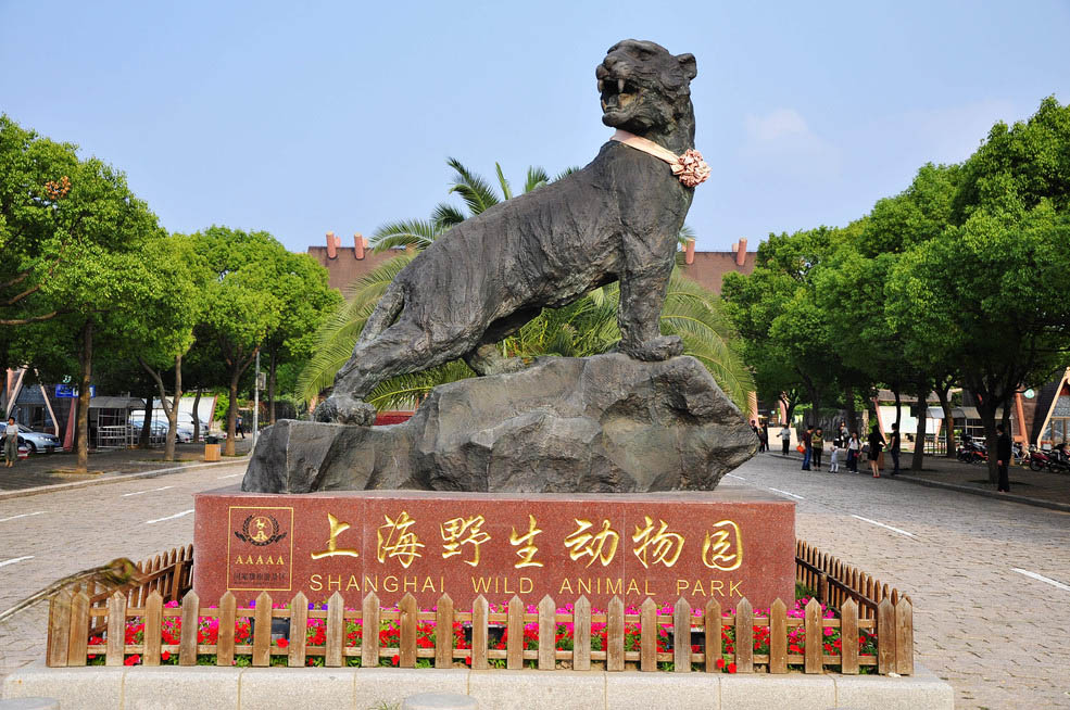 上海野生动物园回应:开园以来的确有6只大熊猫死亡|大熊猫|野生动物|