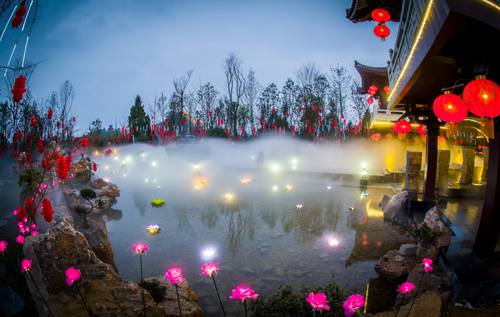 阆苑仙葩雾里看"花"