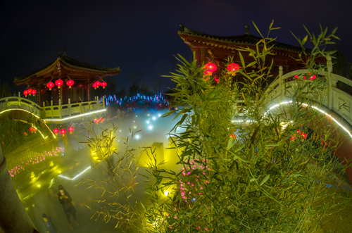 阆苑仙葩雾里看"花"