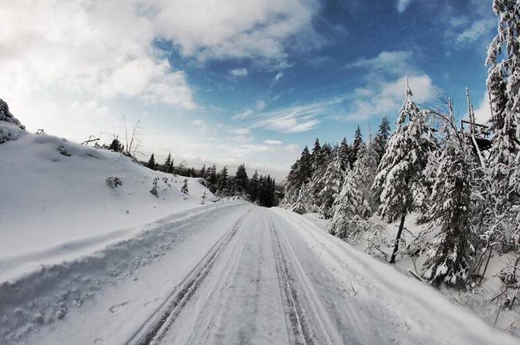 拉哥稳了 丰田回归WRC首夺冠