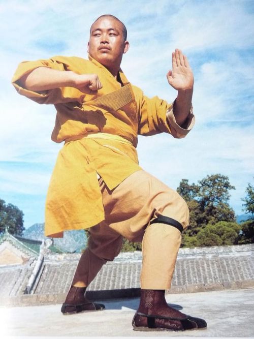 10大少林功夫高手:释永信力压散打冠军居首