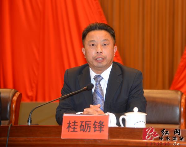 湖南省永州市冷水滩区委书记何冲龙出席会议并讲话会议现场