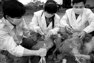 1月份全国192例人感染H7N9禽流感