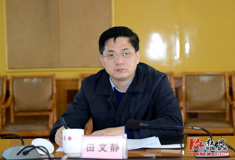 岳阳县委书记田文静讲话