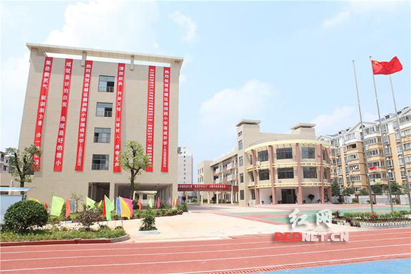 岳麓区德润园小学:翰墨茶香韵悠长 德行文化润心房