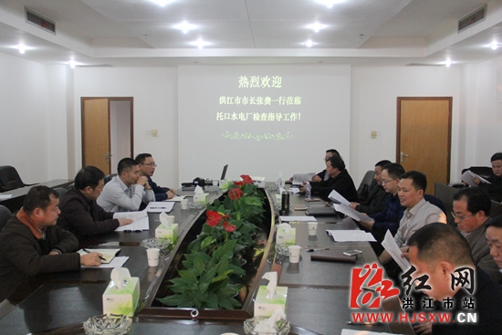 李林)2月16日,湖南省洪江市委副书记,市长张龚赴洪江市托口水电站调研