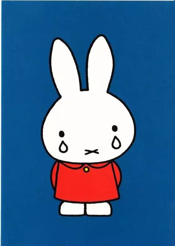 陪我走过整个童年的米菲兔