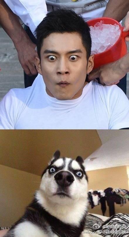 一张偶像演员的脸,做着喜剧演员的事,韩东君妥妥的反差萌!