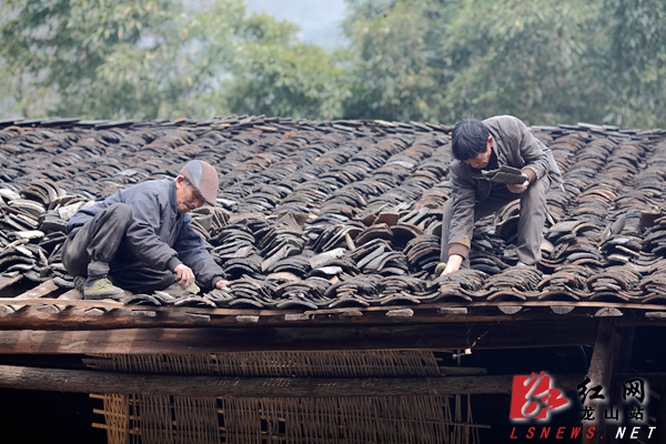 龙山县:即将消失的捡瓦匠