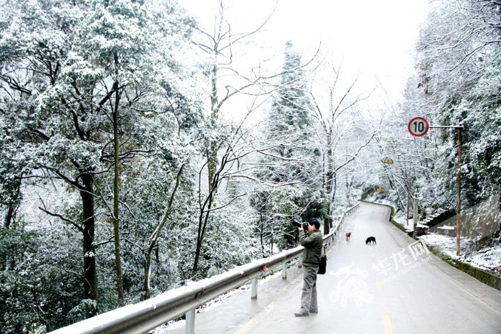 67万盛黑山谷旅游度假区降大雪抓紧时间去雪地撒欢打滚
