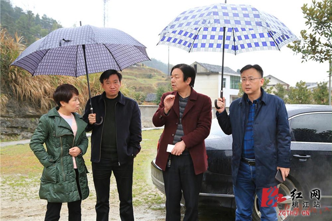 汤跃武调研桃江县松木塘镇全域旅游,产业建设