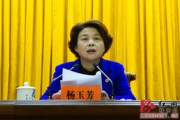 株洲市委政法工作会议召开