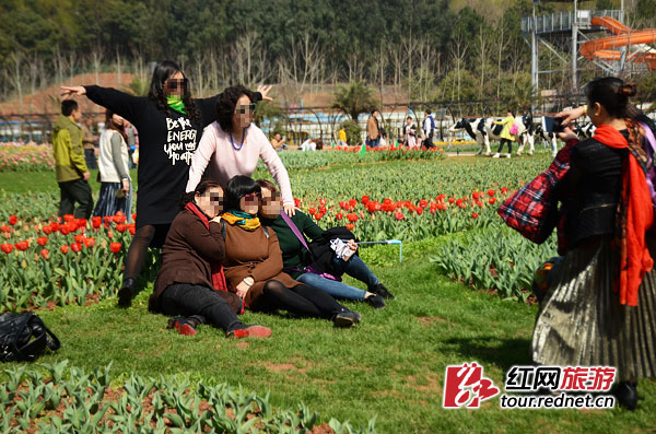 赏花成伤花 湖南省植物园新种花草遭游人踩踏