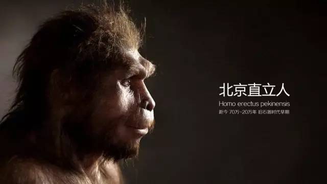 从北美一路疯狂血洗到了南美,人类祖先有多厉害?