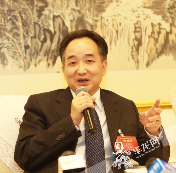 全国人大代表,两江新区管委会常务副主任汤宗伟.