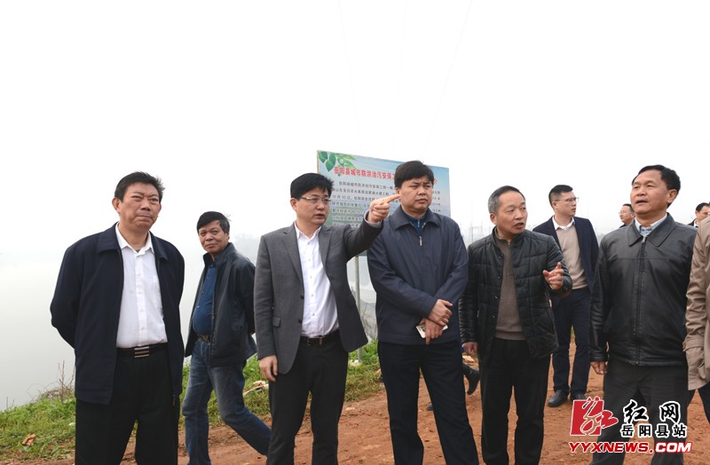 岳阳县四大家领导调研城市建设工作